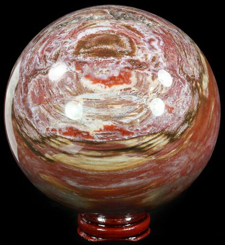 Colorful Petrified Wood Sphere #49753